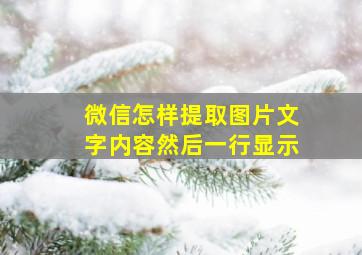 微信怎样提取图片文字内容然后一行显示