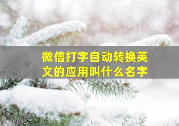 微信打字自动转换英文的应用叫什么名字