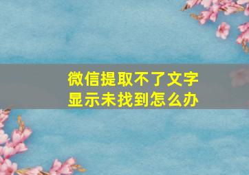 微信提取不了文字显示未找到怎么办