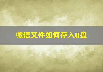 微信文件如何存入u盘