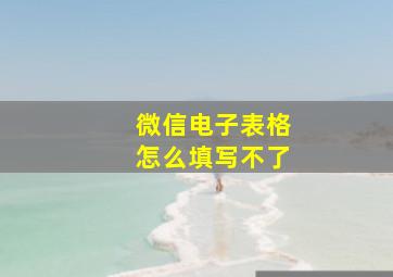 微信电子表格怎么填写不了