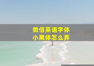 微信英语字体小黑体怎么弄