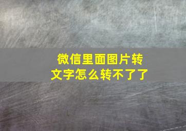 微信里面图片转文字怎么转不了了