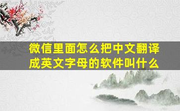 微信里面怎么把中文翻译成英文字母的软件叫什么