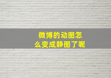 微博的动图怎么变成静图了呢