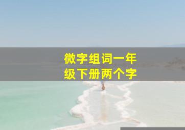 微字组词一年级下册两个字