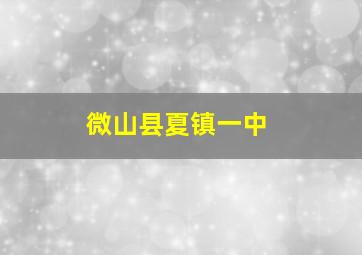 微山县夏镇一中