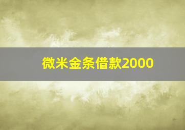 微米金条借款2000