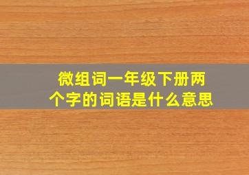 微组词一年级下册两个字的词语是什么意思