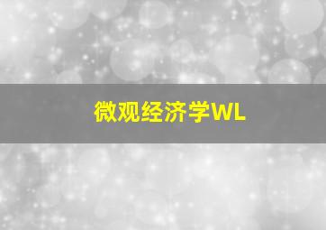 微观经济学WL