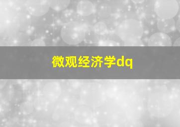 微观经济学dq