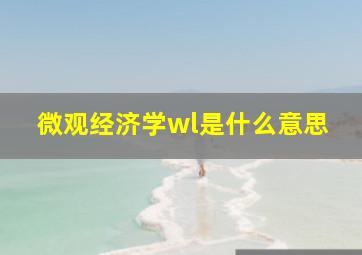 微观经济学wl是什么意思