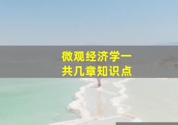 微观经济学一共几章知识点