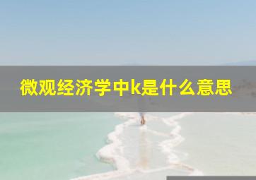 微观经济学中k是什么意思