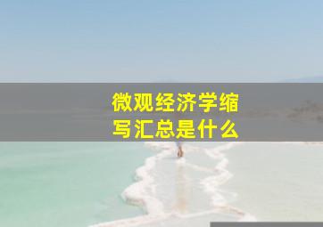 微观经济学缩写汇总是什么