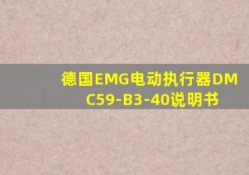 德国EMG电动执行器DMC59-B3-40说明书