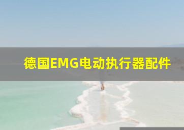 德国EMG电动执行器配件