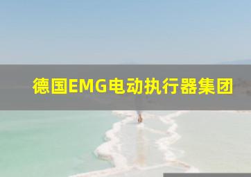 德国EMG电动执行器集团