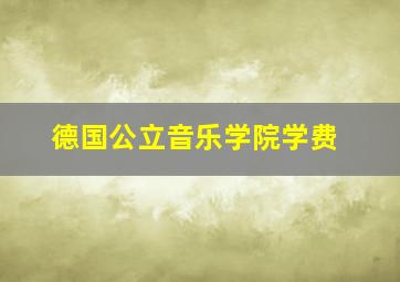 德国公立音乐学院学费