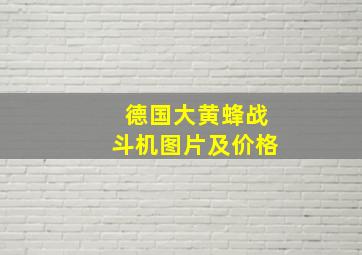 德国大黄蜂战斗机图片及价格