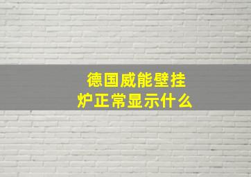 德国威能壁挂炉正常显示什么