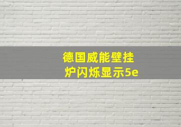 德国威能壁挂炉闪烁显示5e