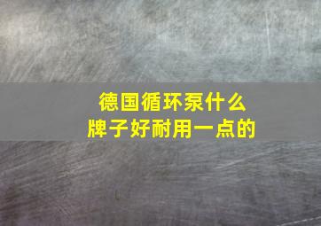 德国循环泵什么牌子好耐用一点的