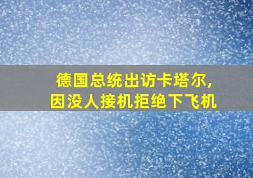 德国总统出访卡塔尔,因没人接机拒绝下飞机