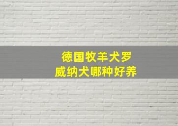 德国牧羊犬罗威纳犬哪种好养