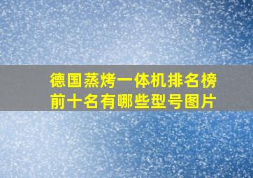 德国蒸烤一体机排名榜前十名有哪些型号图片