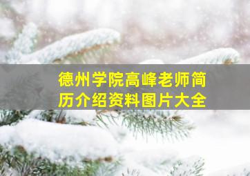 德州学院高峰老师简历介绍资料图片大全