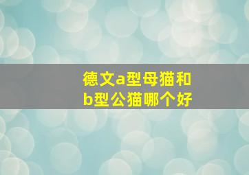 德文a型母猫和b型公猫哪个好