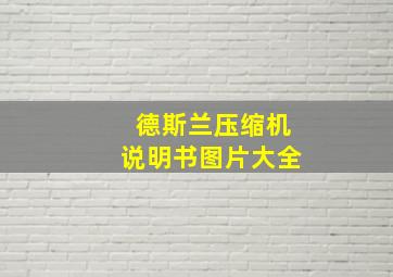 德斯兰压缩机说明书图片大全