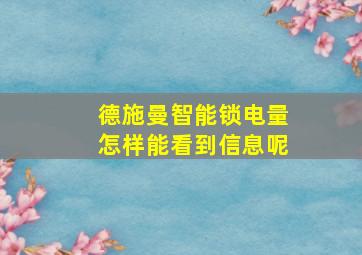 德施曼智能锁电量怎样能看到信息呢