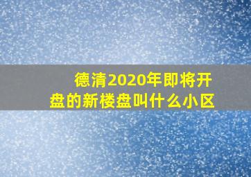 德清2020年即将开盘的新楼盘叫什么小区