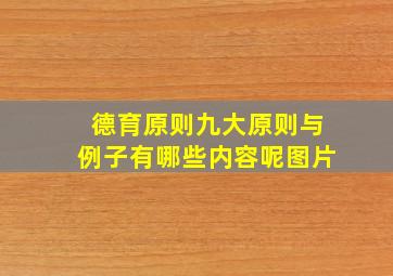 德育原则九大原则与例子有哪些内容呢图片