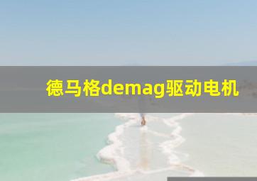 德马格demag驱动电机