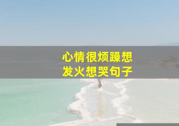 心情很烦躁想发火想哭句子