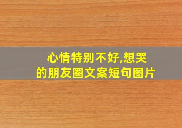 心情特别不好,想哭的朋友圈文案短句图片