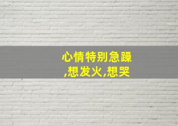 心情特别急躁,想发火,想哭