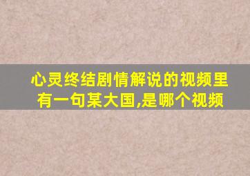 心灵终结剧情解说的视频里有一句某大国,是哪个视频