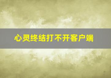 心灵终结打不开客户端