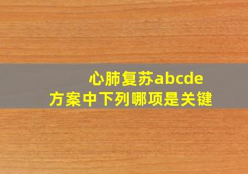 心肺复苏abcde方案中下列哪项是关键