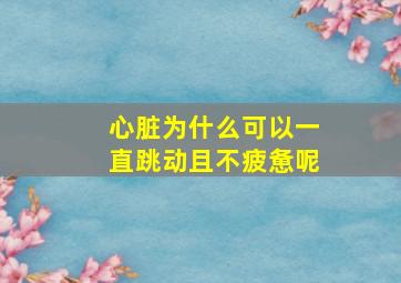 心脏为什么可以一直跳动且不疲惫呢