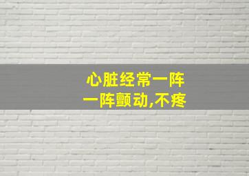 心脏经常一阵一阵颤动,不疼