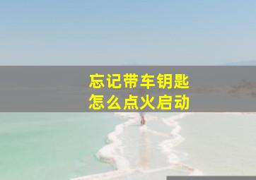 忘记带车钥匙怎么点火启动