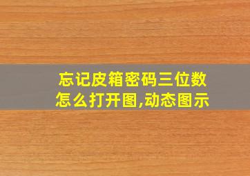 忘记皮箱密码三位数怎么打开图,动态图示