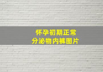 怀孕初期正常分泌物内裤图片