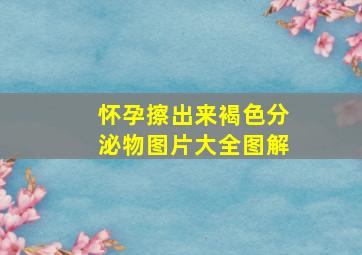 怀孕擦出来褐色分泌物图片大全图解