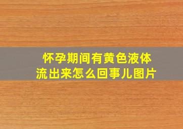 怀孕期间有黄色液体流出来怎么回事儿图片